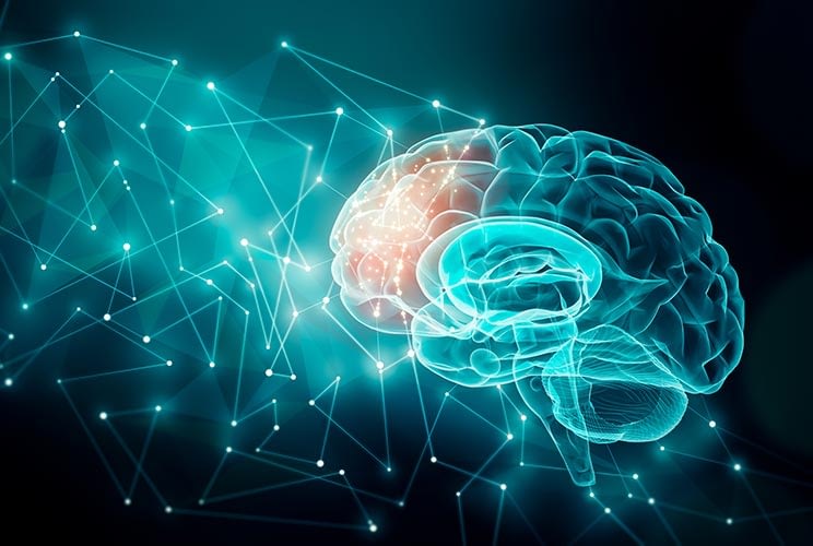 a brain illustration is lit up in one area with neurons firing